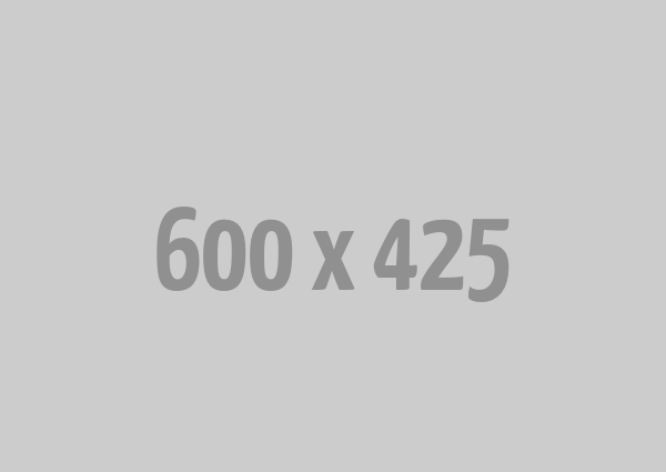تطوير واجهه موقع